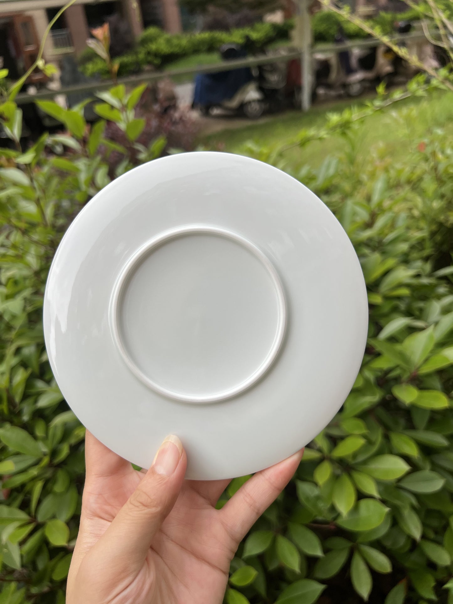 Blue wanhua coffee cup