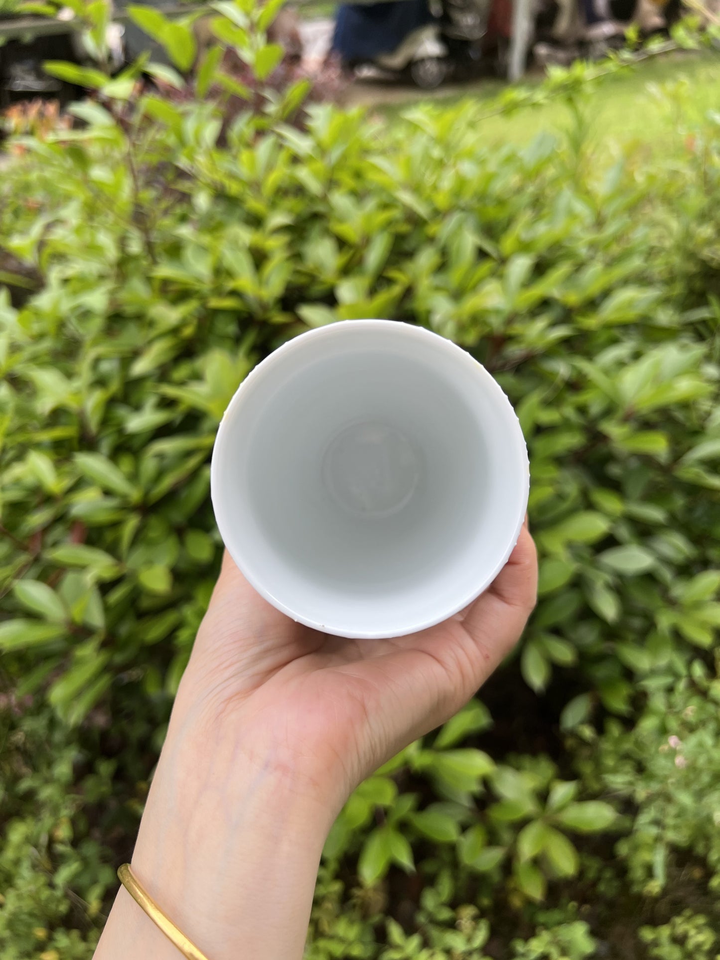 Classic wanhua cup