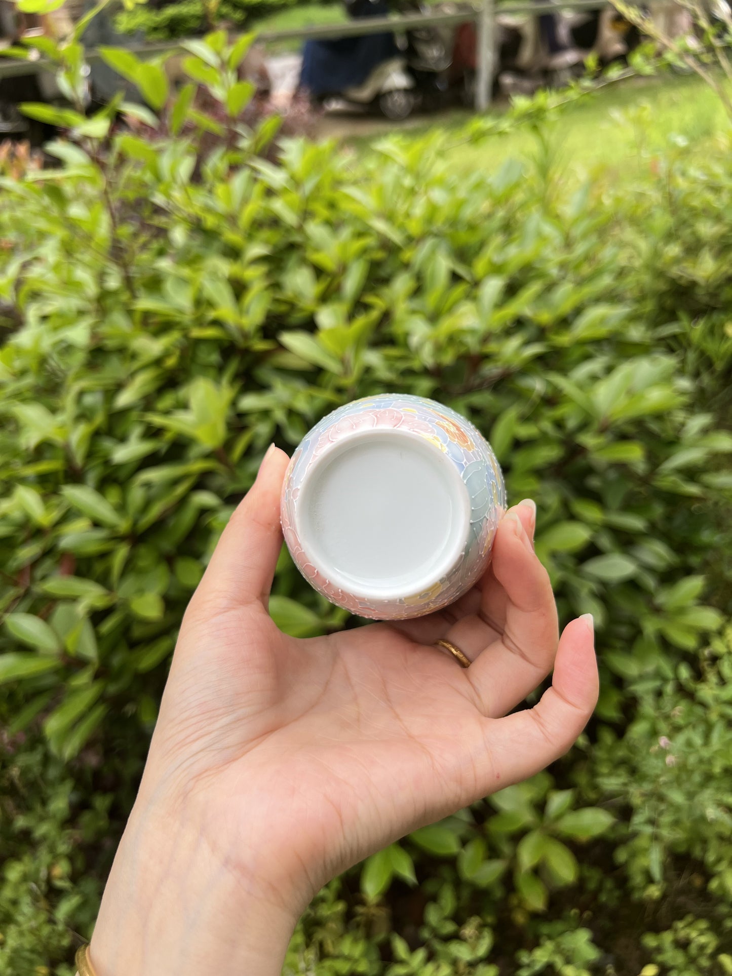 Classic wanhua cup