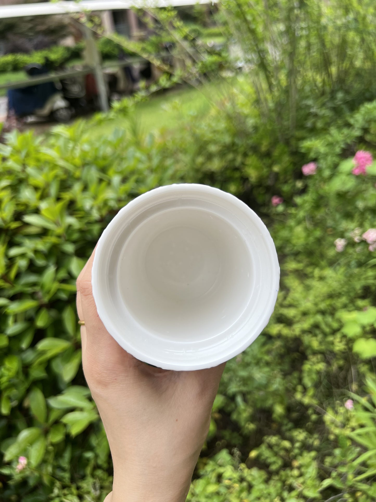 Wanhua cup