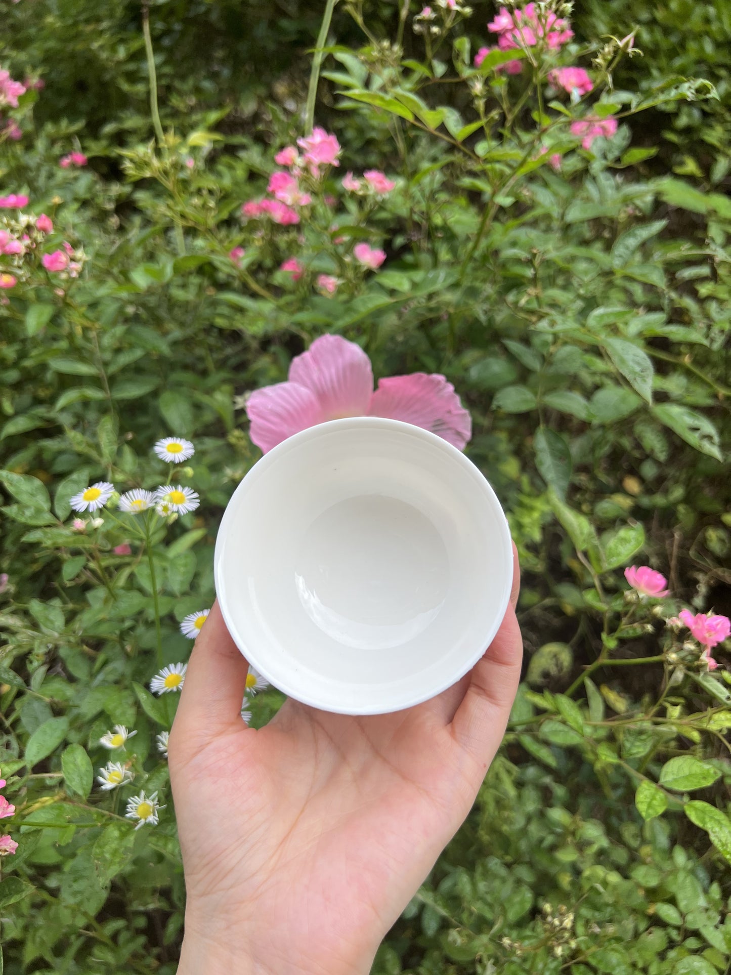 Pearl curtain teacup