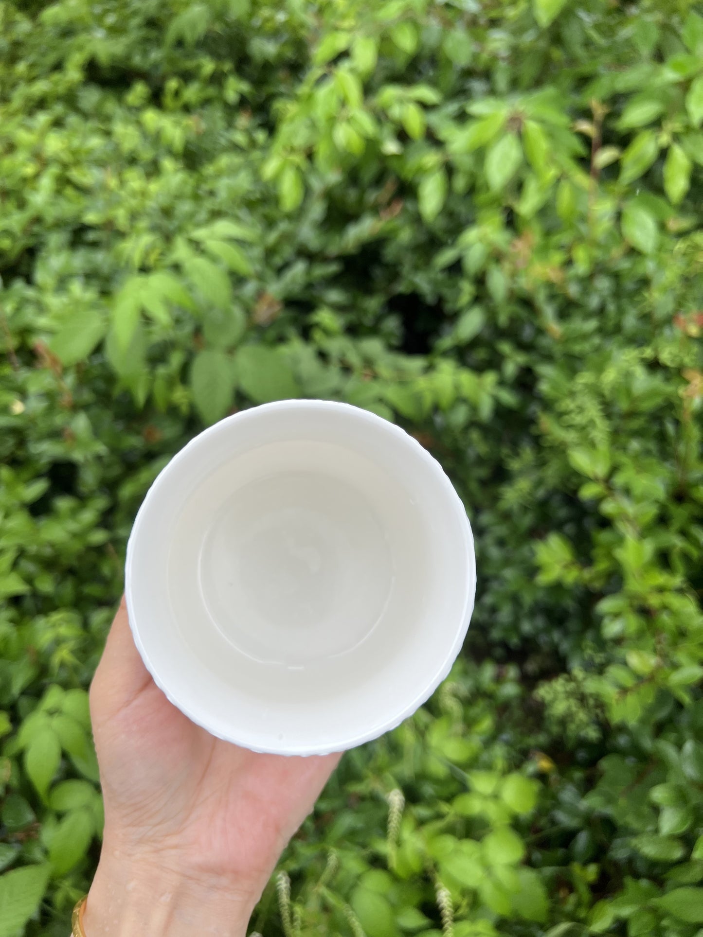 oval cup