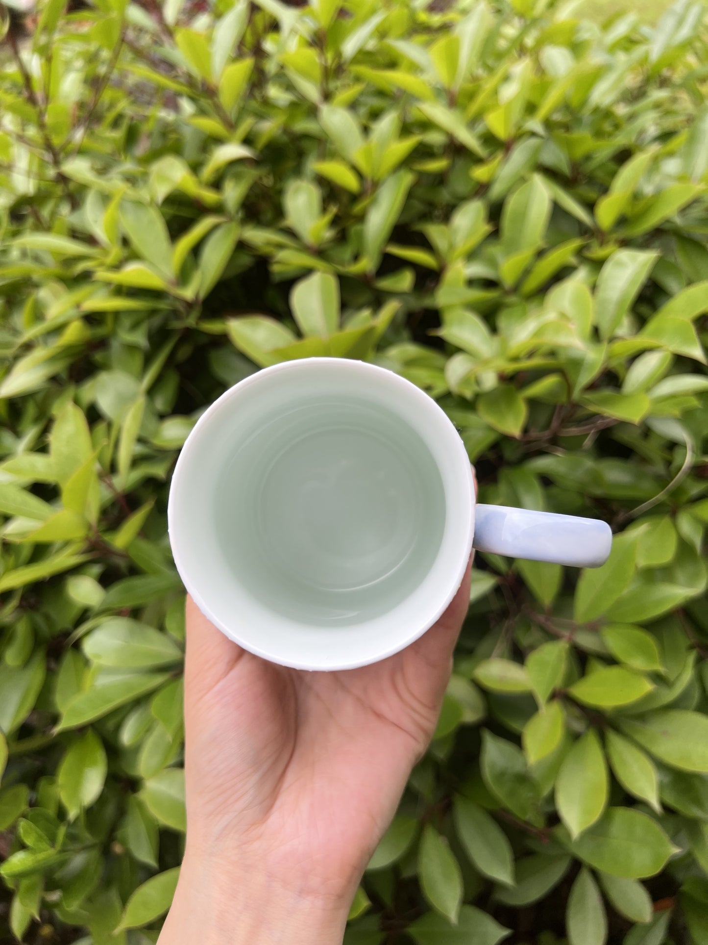 Everyday use of the Flower Cup