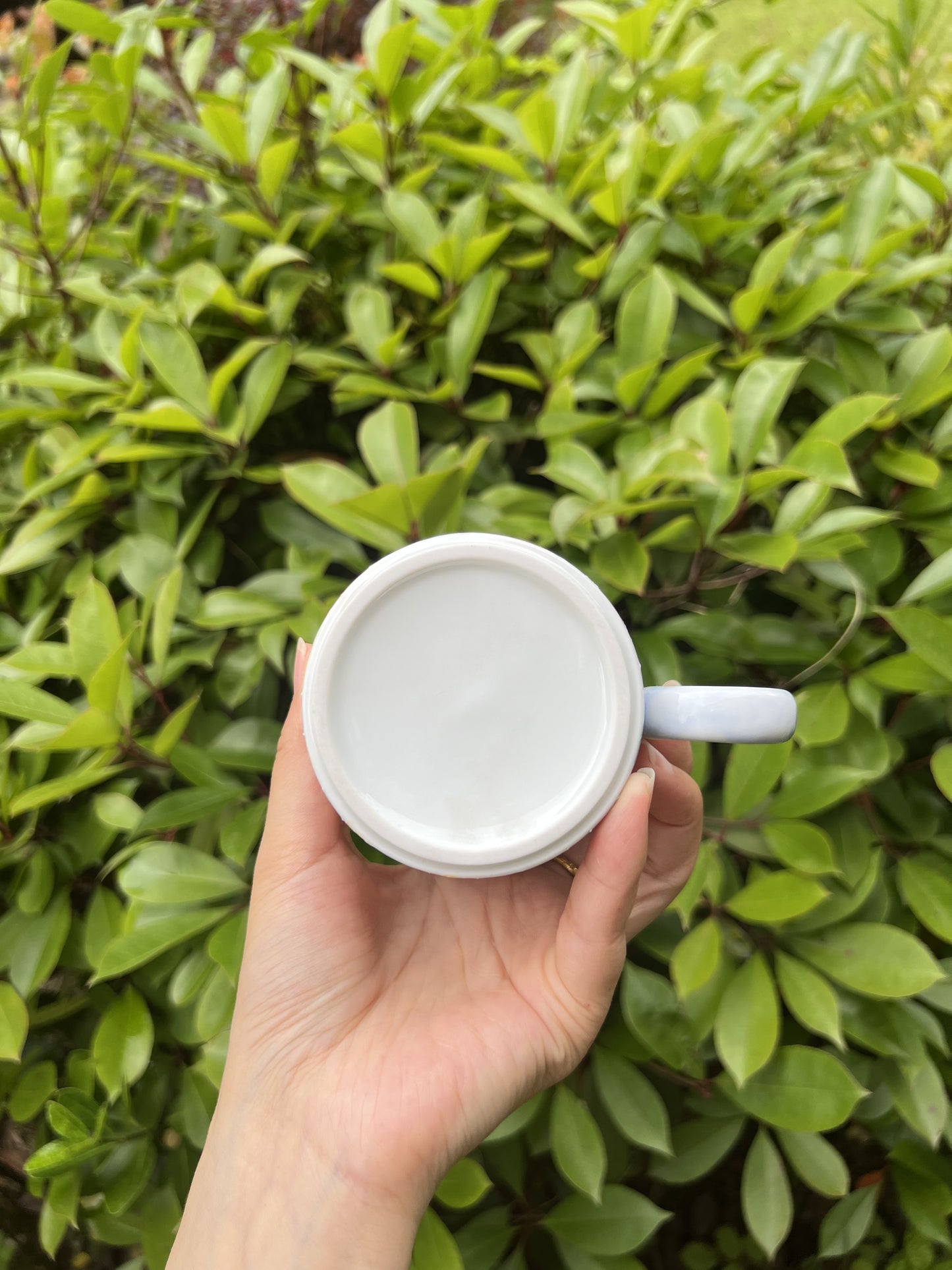 Everyday use of the Flower Cup