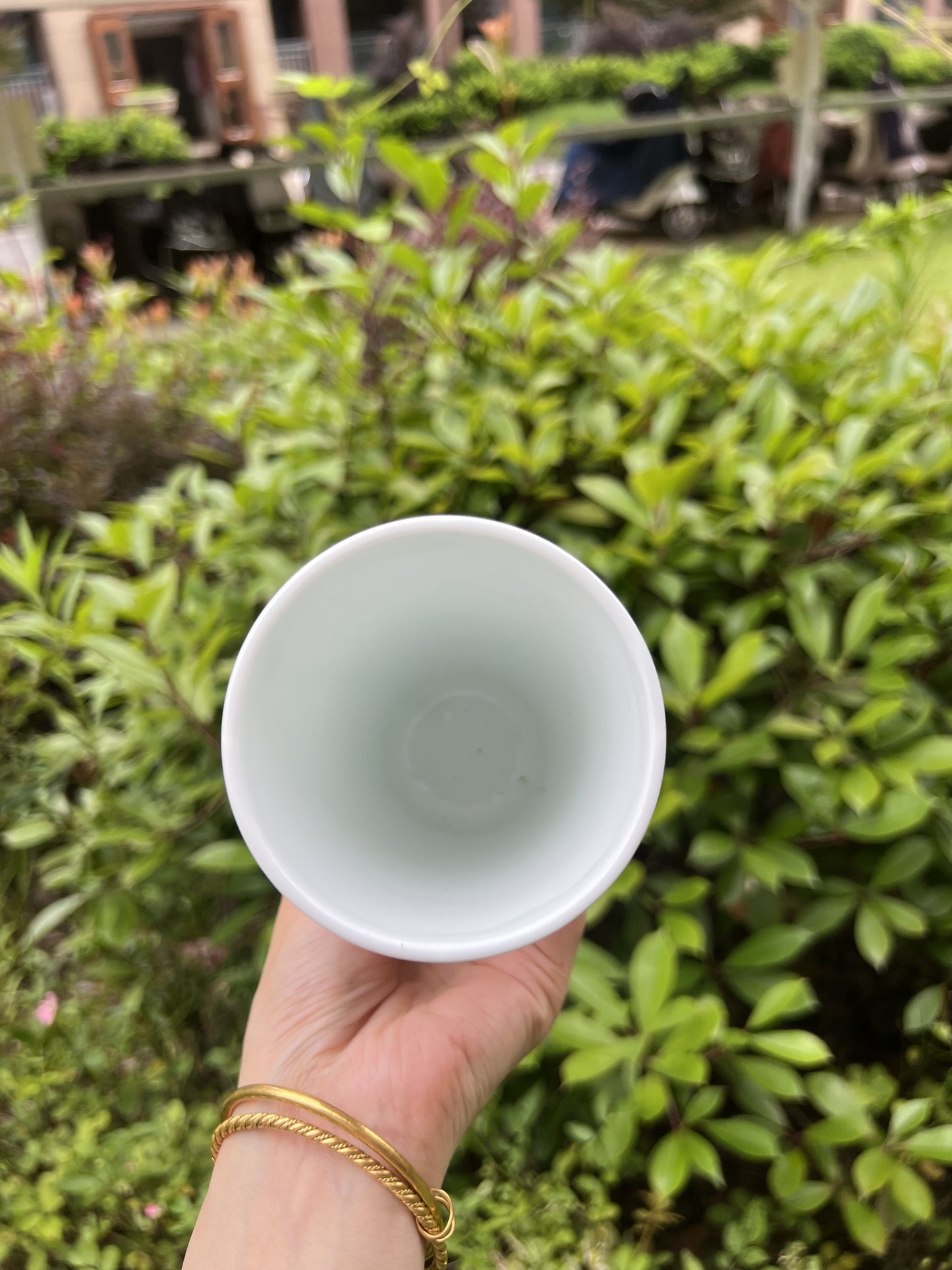 Classic cola cup