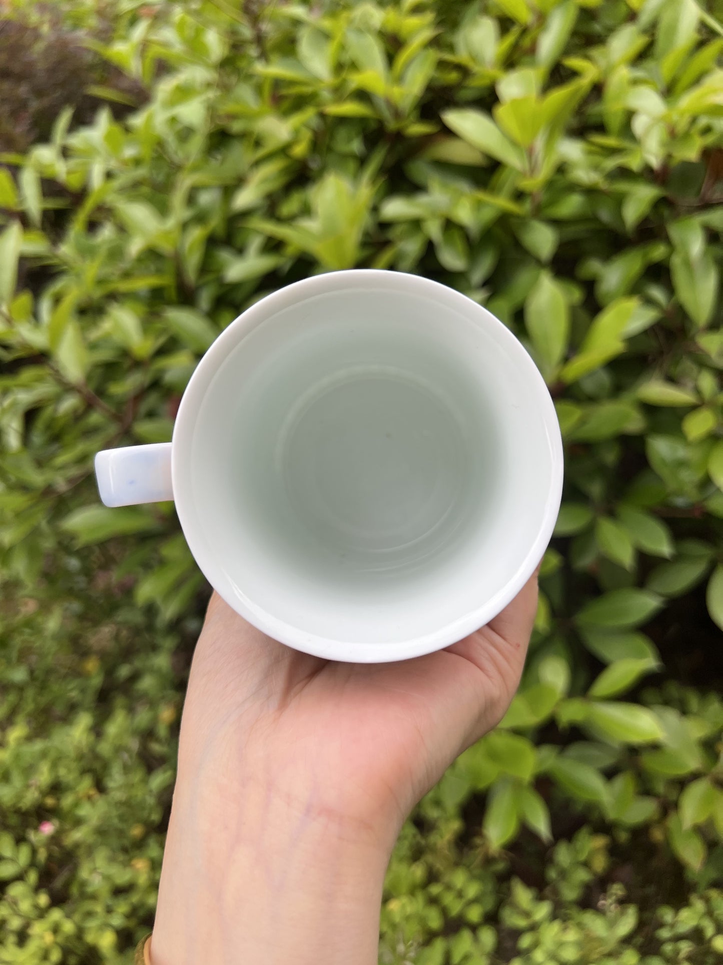 Wanhua mug