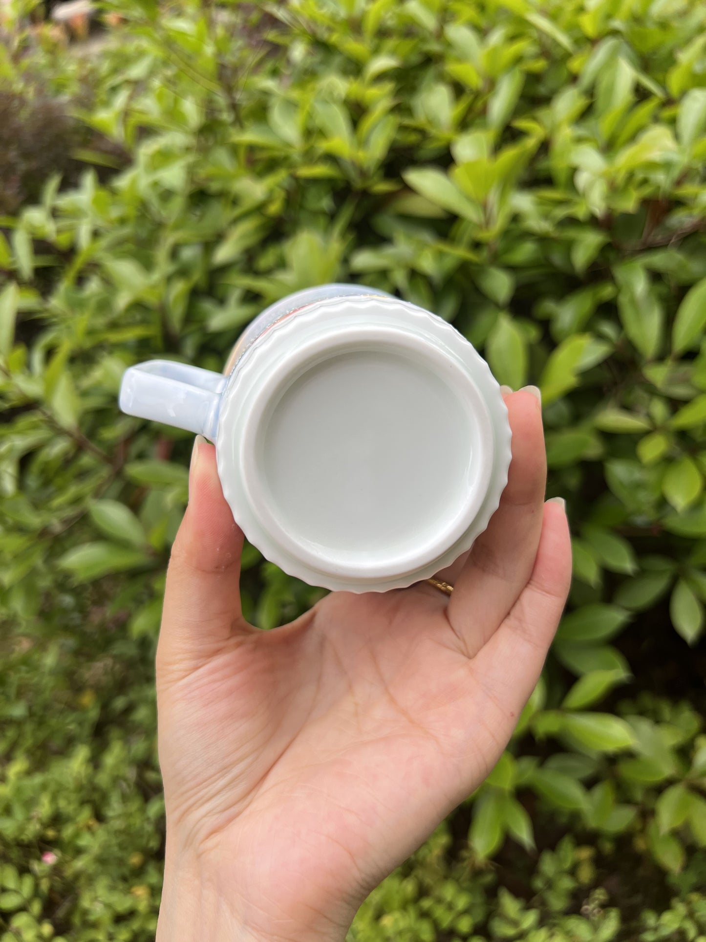 Wanhua mug