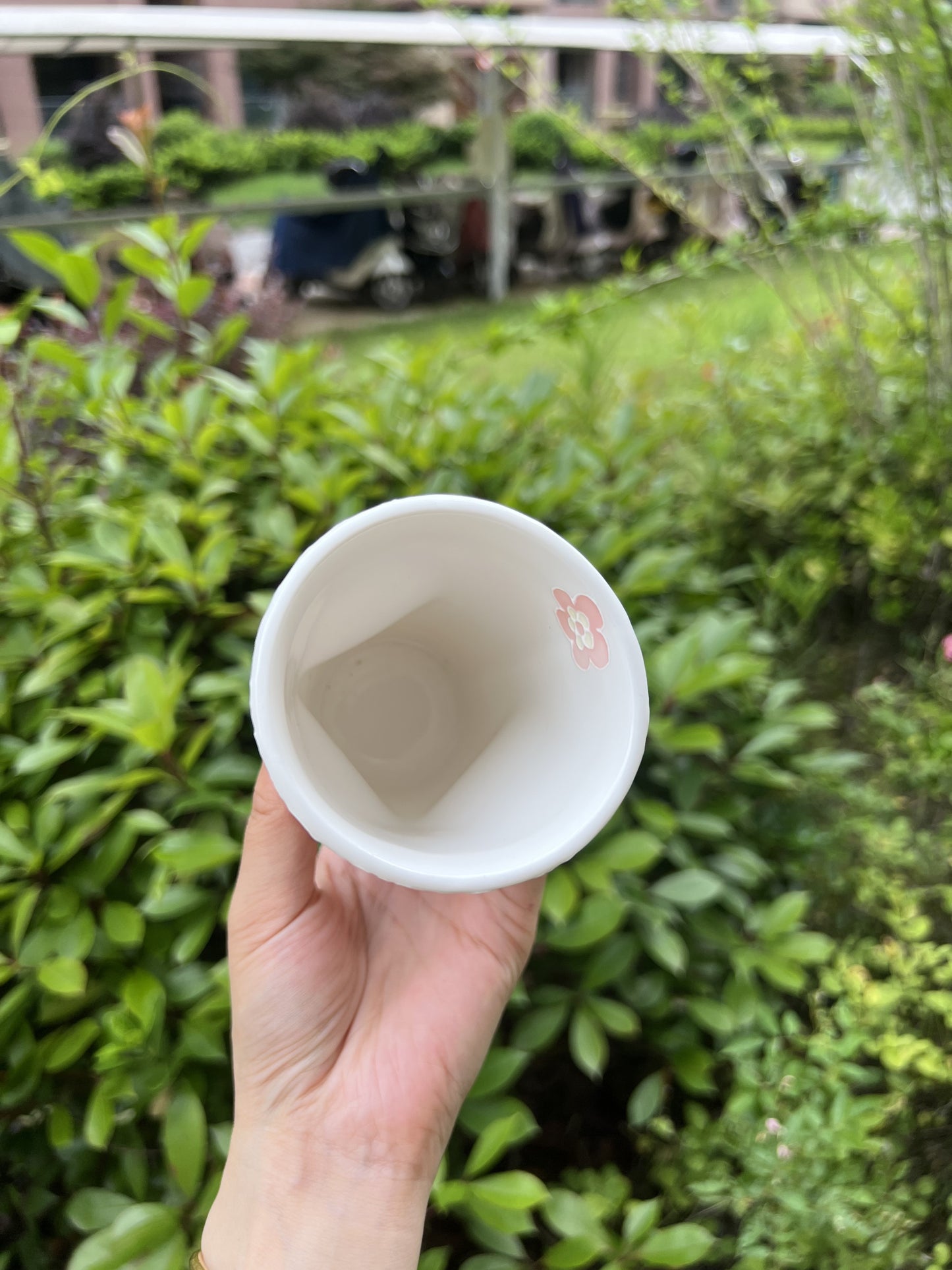 Shaped cup