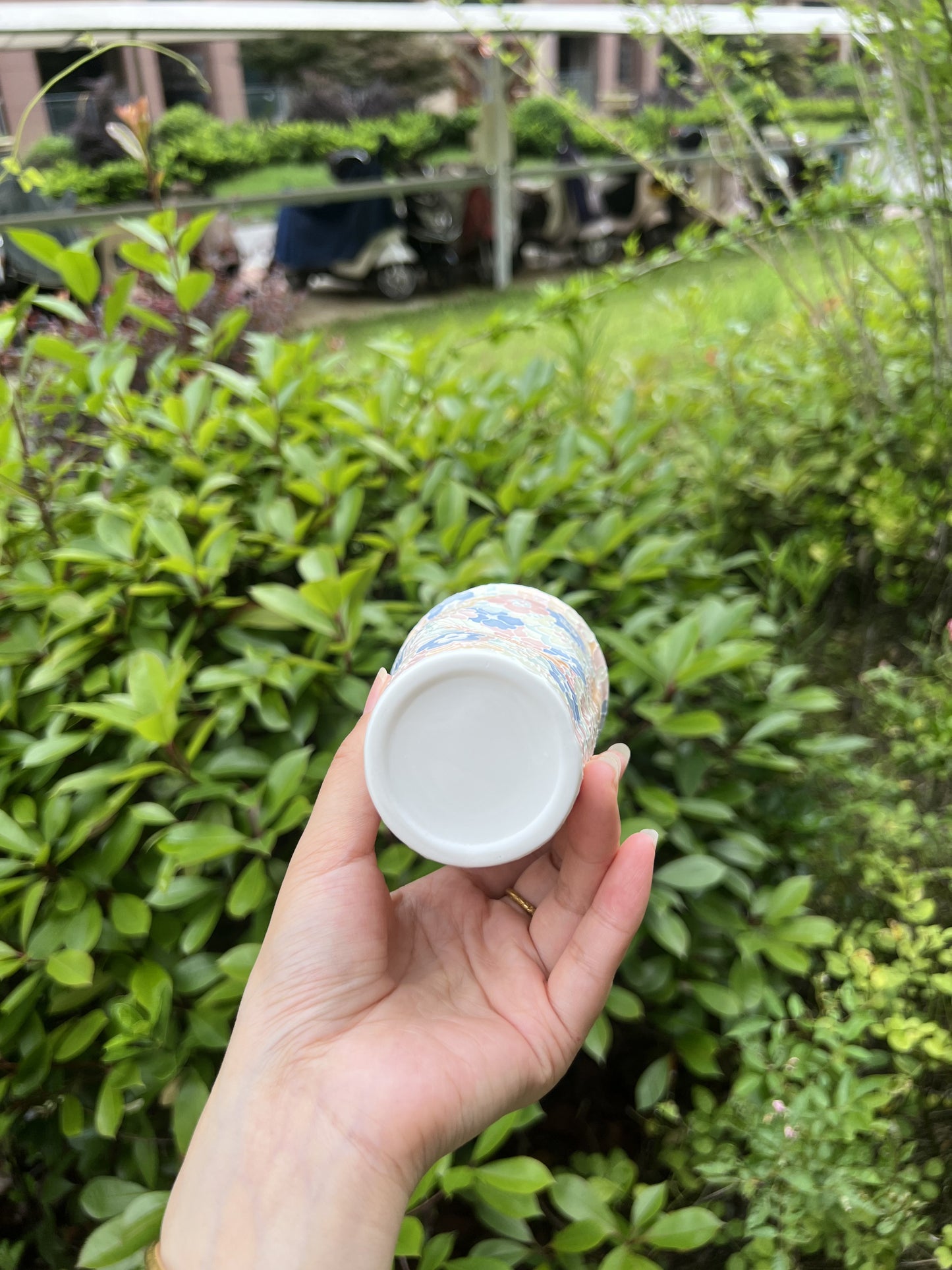 Shaped cup