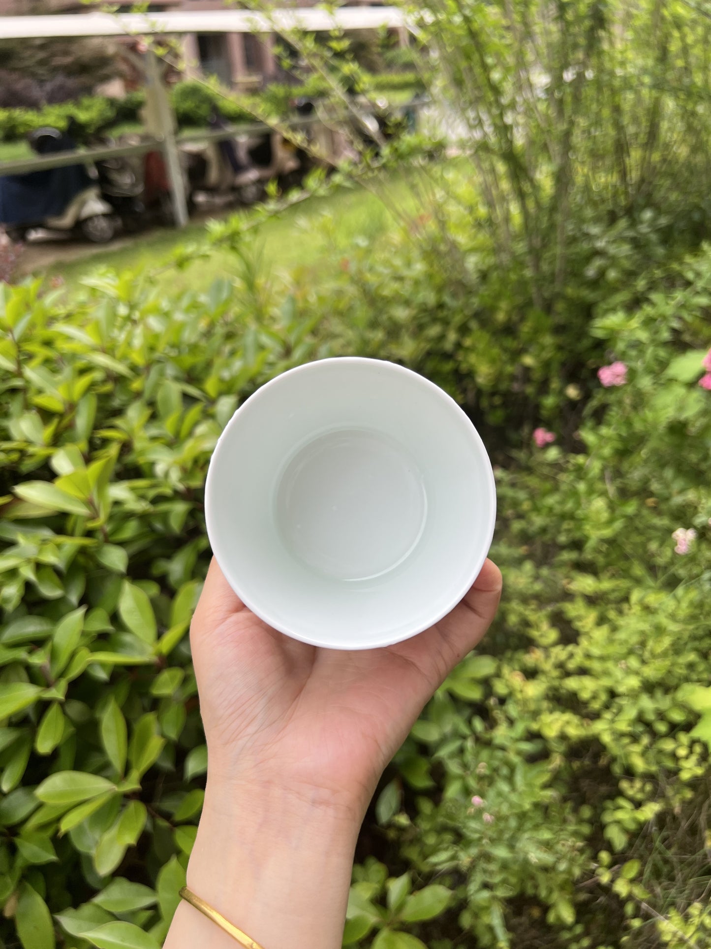 Big mouth cup