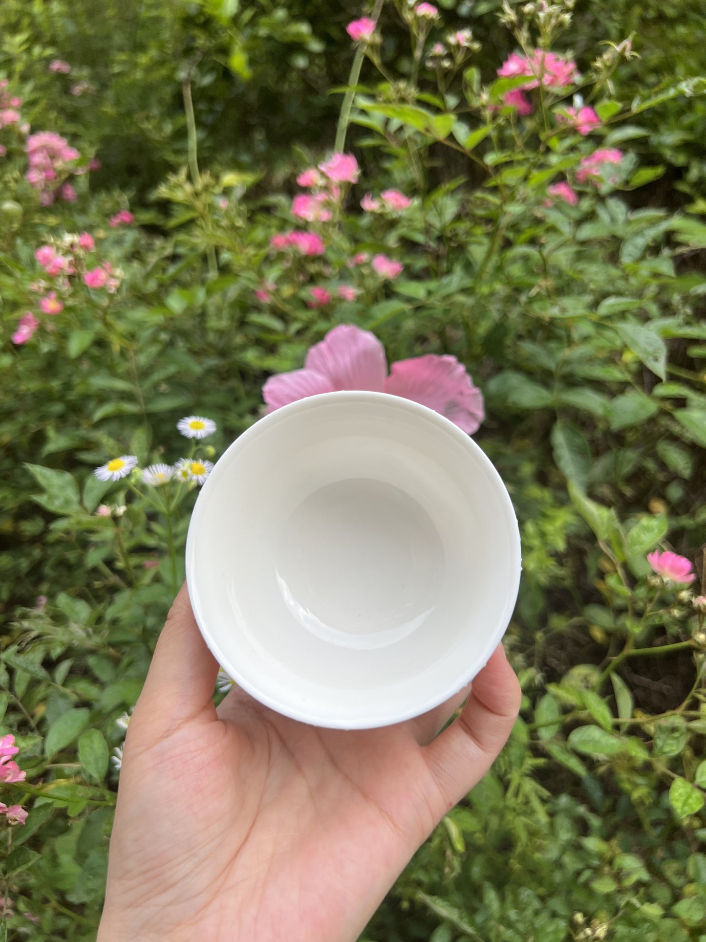 Pearl curtain teacup